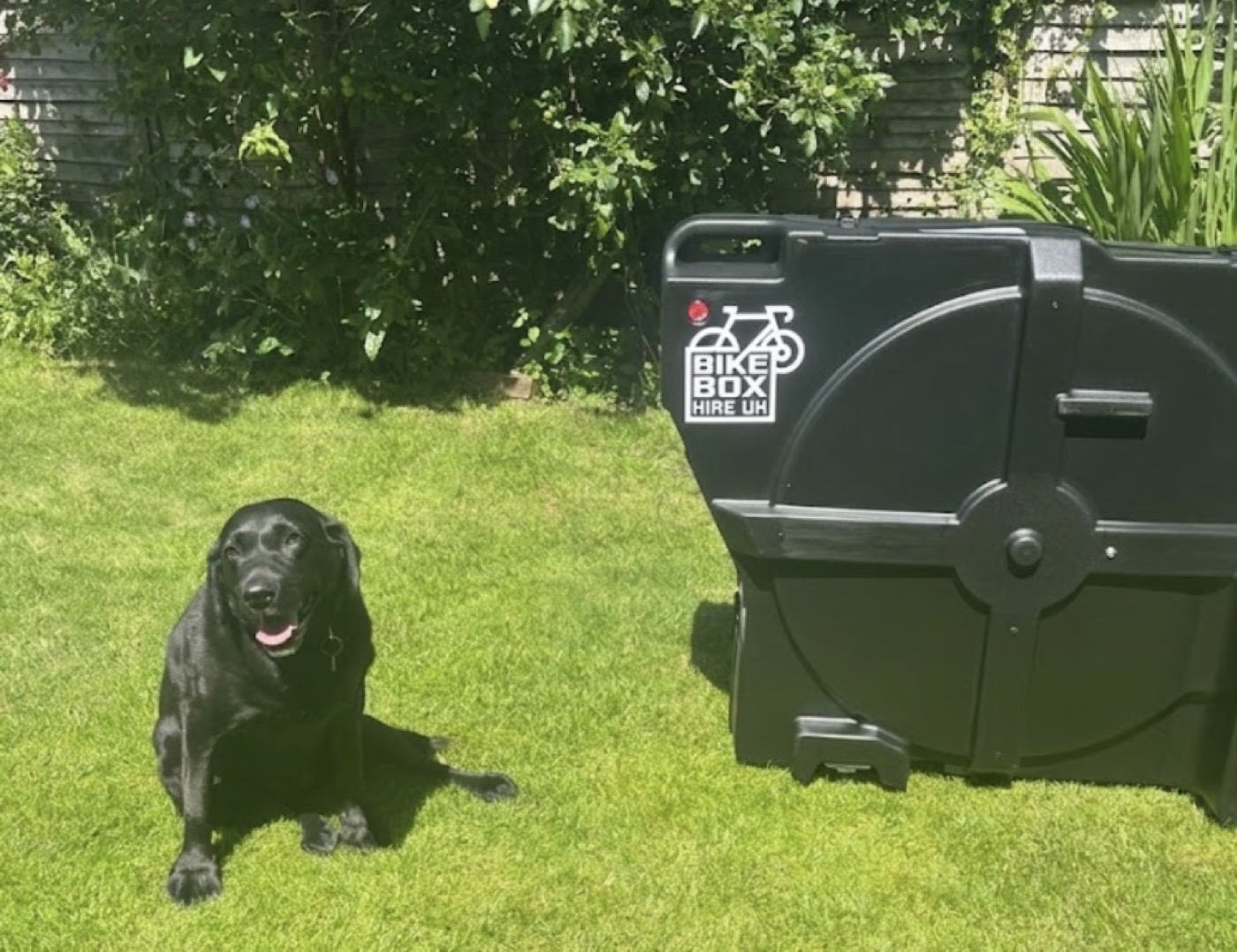 A Bike Box Hire UK box ready to go in the garden